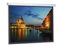 Projecta ProScreen CSR projection screen - 88" (224 cm)