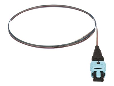 Panduit QuickNet PanMPO/MPO Ribbon Pigtail Assembly