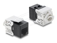 Delock Modular indlæg