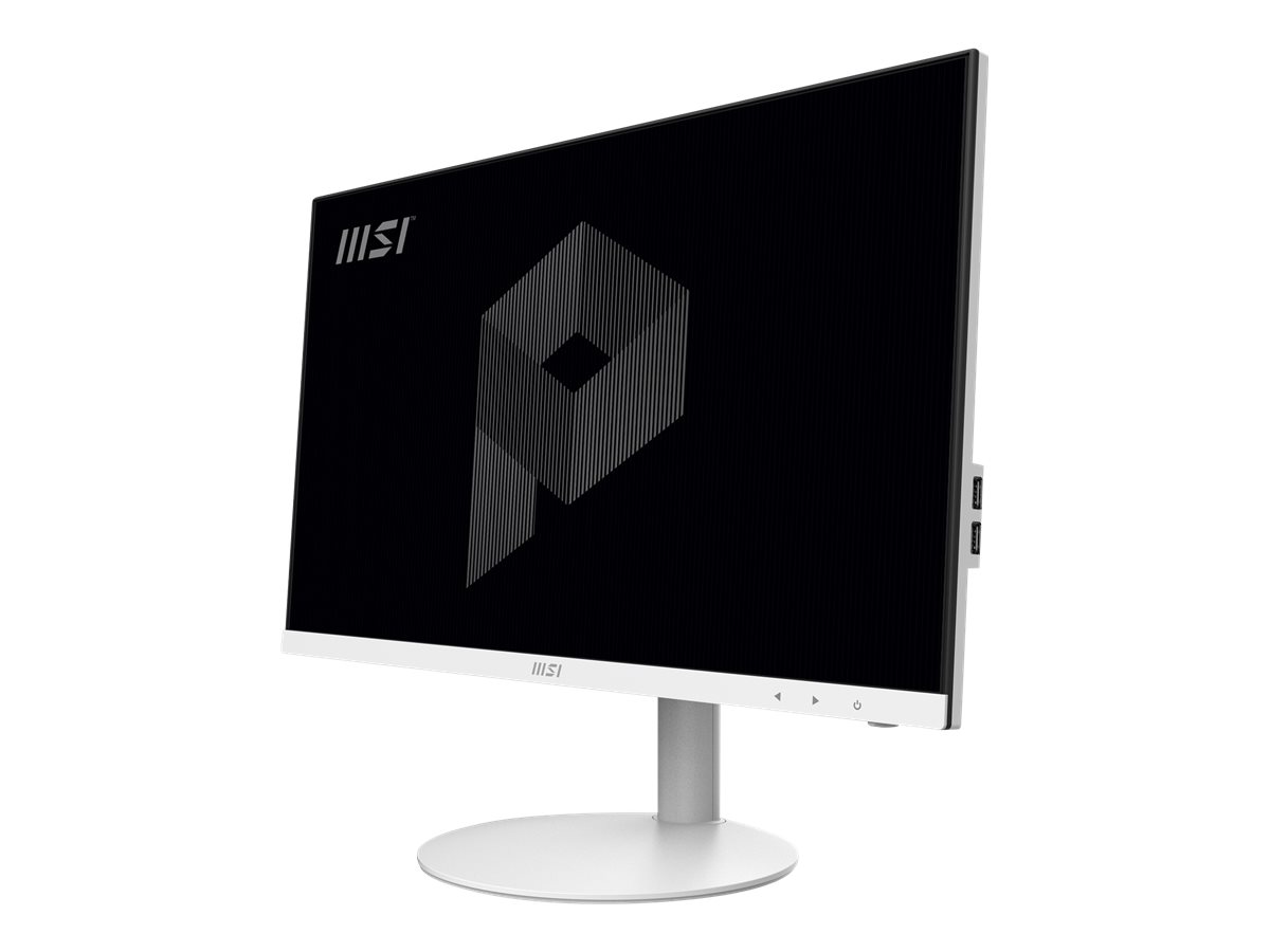 MSI PRO AP241 11M 009US