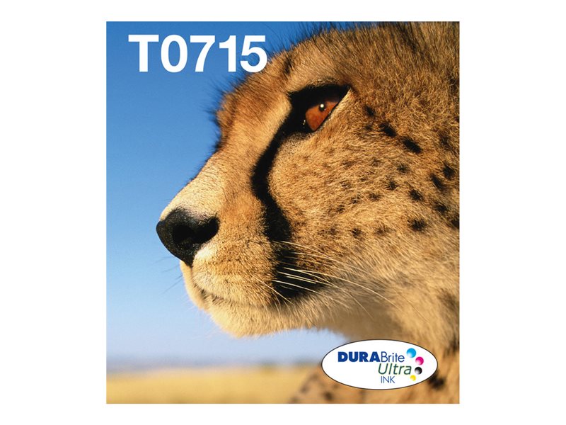 EPSON 2LB EasyMail T071 Cheetah