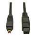 Tripp Lite 6ft Hi-Speed FireWire IEEE Cable-800Mbps with Gold Plated Connectors 9pin/4pin M/M 6