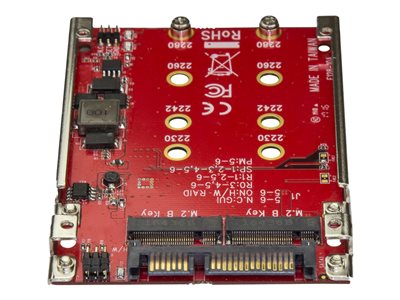 StarTech.com U.2 to M.2 Adapter for U.2 NVMe SSD - M.2 PCIe x4
