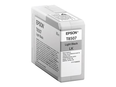 EPSON Singlepack Light Black T850700 - C13T850700