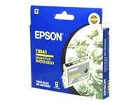 Epson T0541 photo black original ink Product shot  74100