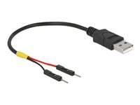 DeLOCK 4 pin USB Type A (male) - 2 pin USB-samlestykke (male) Sort 10cm USB / strøm kabel