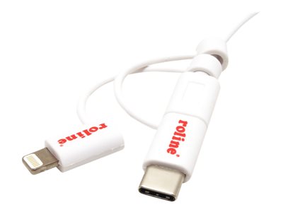 ROLINE USB 2.0 Sync- & Ladekabel TypA 1m
