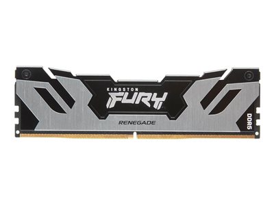 Kingston FURY Renegade