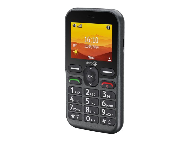 DORO Leva L10