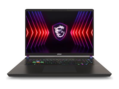 MSI Vector 17 HX A14VGG-219US