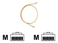 Panduit TX5e - Patch cable