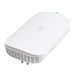 Cisco Business 151AXM