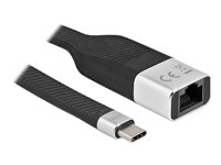 DeLock Netværksadapter USB-C 3.2 Gen 1 1Gbps Kabling