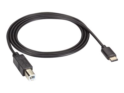 Black Box - USB cable