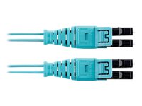 Panduit Opti-Core Push-Pull