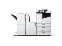 Epson print bridge unit