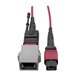 Eaton Tripp Lite Series MTP/MPO Parallel Optics Base-8 Migration Fiber Adapter, Polarity C to B, 12 Fiber, 40GB/100GB, OM4 M/F, Magenta, 8 in.