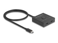 DeLock Video splitter/kontakt 2 porte USB 