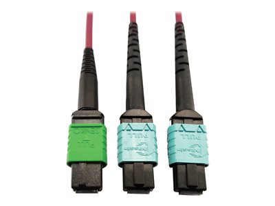 Eaton Tripp Lite Series 400G Multimode 50/125 OM4 Plenum Fiber Optic Cable, 16F MTP/MPO-APC to (x2) 12F MTP/MPO-UPC (F/F), Magenta, 1 m