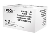 Epson Accessoires pour imprimantes C13S210048
