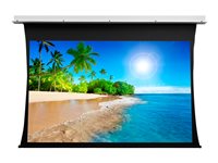 Projecta Tensioned Descender Electrol projection screen - 116.54" (296 cm)