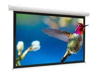 Projecta Elpro Concept RF Wide Format - projection screen - 125" (318 cm)