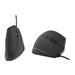 TNB ERGO Line Verticale Mouse Wired