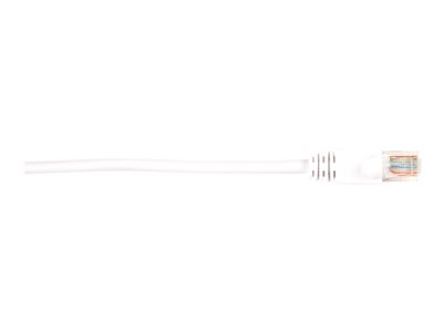 Black Box - Patch cable