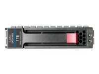 HPE Harddisk Midline 500GB 3.5' SATA-300 7200rpm