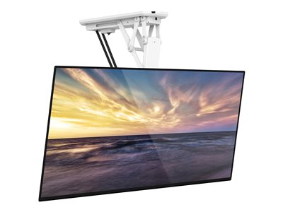 Mount-It! MI-4224W - Mounting kit (ceiling mount)