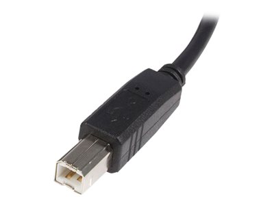 STARTECH.COM USB2HAB2M, Kabel & Adapter Kabel - USB & 2m  (BILD1)