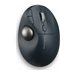 Kensington Pro Fit Ergo TB550 Trackball