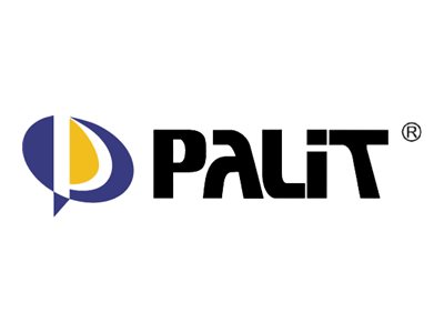 Palit logo