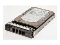 Origin Storage Harddisk 300GB 3.5" Serial Attached SCSI 2 15000rpm