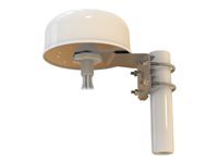 AccelTex 4 Element Antenna With N-Style Antenna Wi-Fi 4 dBi, 6 dBi omni-directional 