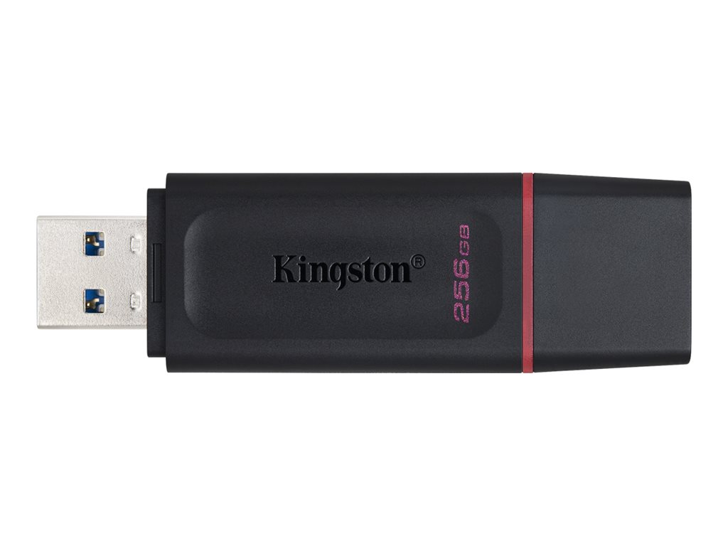 KINGSTON 256Go USB3.2 Gen1 DT Bk+Pink