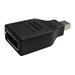 Cables Direct - DisplayPort adapter - Mini Display