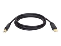 Eaton Tripp Lite Series USB 2.0 A to B Cable (M/M), 15 ft. (4.57 m)