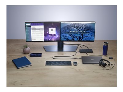 dell dock wd19 2 monitors