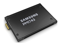 Samsung PM1743