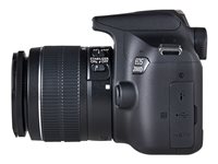 Canon EOS 2000D - Digital camera - SLR - 24.1 MP - APS-C - 1080p / 30 fps - 3x optical zoom EF-S 18-55mm IS II lens - Wi-Fi, NFC