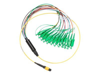Fluke Networks - Breakout cable
