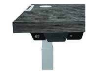 FELLOWES LEVADO PLATEAU SEUL CHENE NEWPO