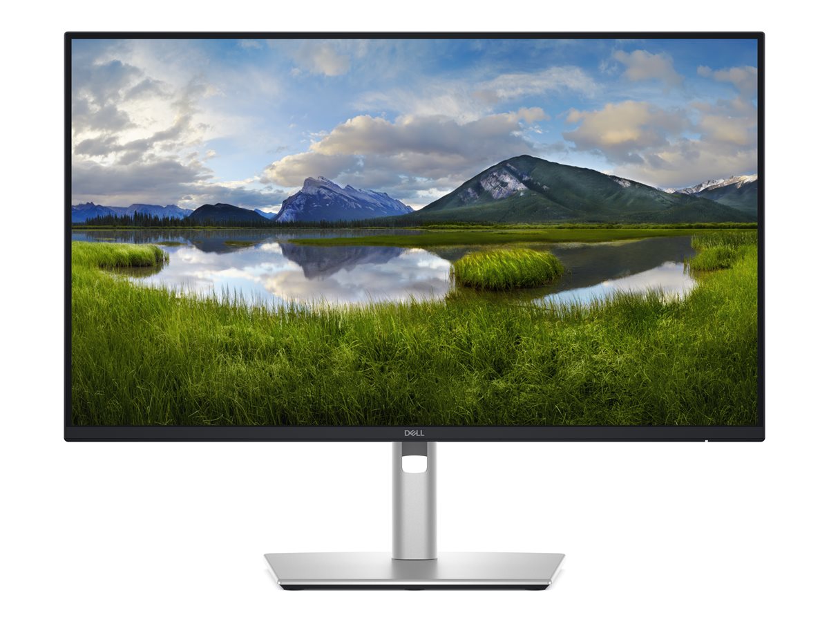 Dell Pro Plus P2425DE (DELL-P2425DE)