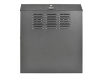 Eaton Tripp Lite Series 4U Wall Mount Low Profile Secure Rack Enclosure Cabinet Vertical - rack - 4U