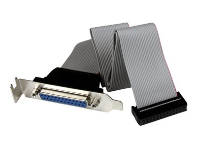 Product | StarTech.com Low Profile IDC 26 (Buchse) auf DB25 (Buchse ...