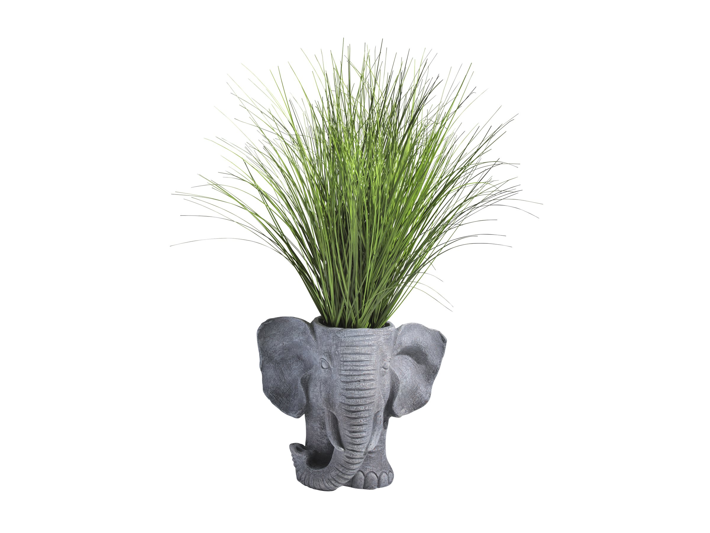 Collection by London Drugs Elephant Planter