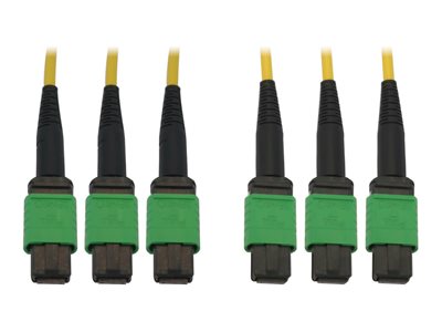 Eaton Tripp Lite Series 40/100G Singlemode 9/125 OS2 Fiber Optic Cable (3x8F MTP/MPO-APC F/F), LSZH, Yellow, 15 m (49 ft.)