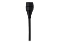 AKG C 417 PP Microphone matte black
