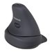 Ergoguys Rockstick 2 Medium